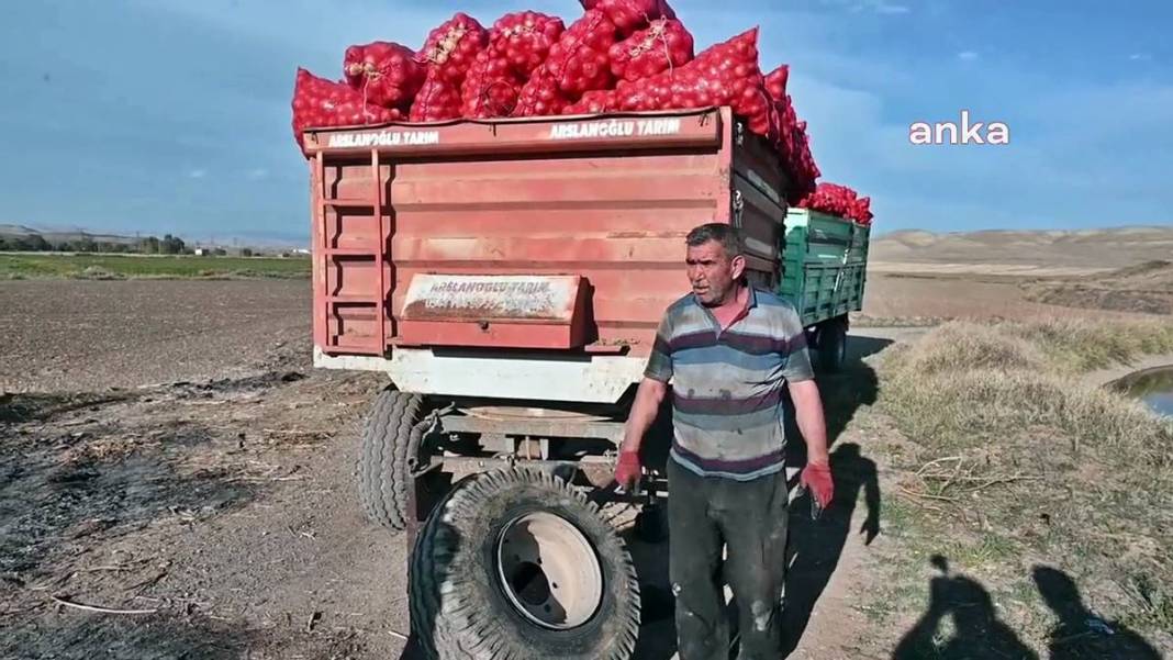 Üreticiye soğan şoku: Tonlarcası depolara kaldırılıyor! Bu kez de fazla üretim başlarına dert oldu 4